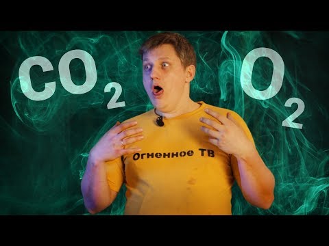 Видео: 🔥 Сколько нужно не проветривать, чтобы умереть? Эксперимент.