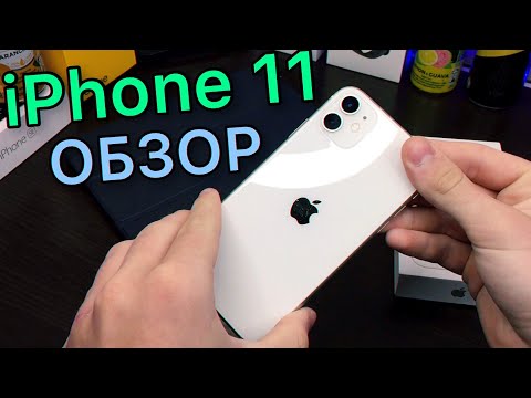 Видео: iPhone 11- обзор и отзыв владельца! Стоит ли покупать?