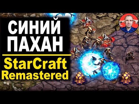 Видео: 🔥 АРХОНТ ВЫШЕЛ НА ОХОТУ - StarCraft Brood War - Remastered
