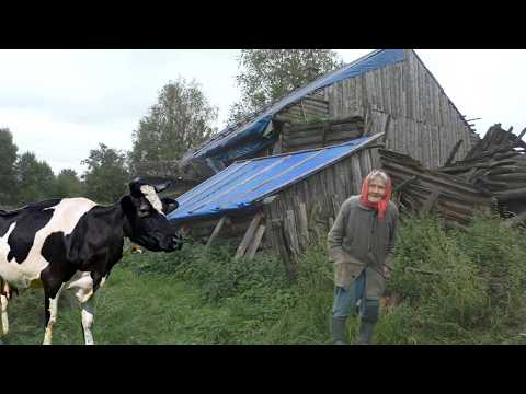 Видео: Бабушка живет одна в заброшенной деревне. Последний житель опустевшей деревни.