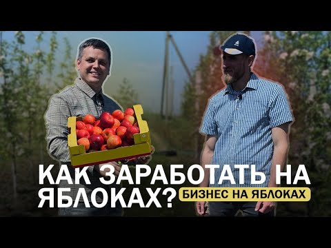 Видео: Бизнес на яблоках . Как заработать на яблоках. Яблоневый сад как бизнес.