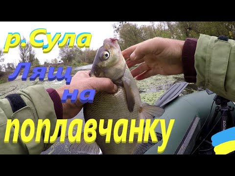 Видео: #Сула # Знайшов ляща #РибачуЯкУмію