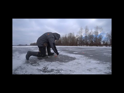 Видео: #зимняя #рыбалка#     Рыбалка в городском заливе Днепра. Ловля рыбы на льду. Безмотыка!
