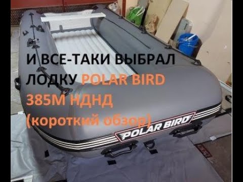 Видео: И ВСЕ-ТАКИ ВЫБРАЛ лодку Polar Bird 385M НДНД