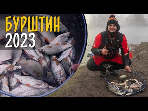 Видео: НАЛОВИВ ВІДРО РИБИ! Зимовий фідер в Бурштині 2023