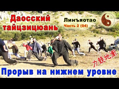 Видео: Прорыв на нижнем уровне (лицзин дичун 力競地衝). Форма и юнфа. Тайцзи Ветер-Гром