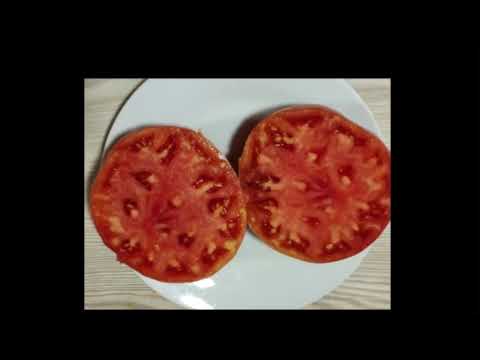 Видео: Каталог томатов 2025 года.  Часть 10.  г.  Киров