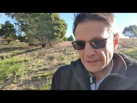 Видео: Жизнь соло и иммиграция в Австралию?