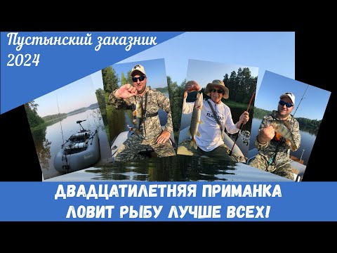 Видео: Двадцатилетняя приманка ловит рыбу лучше всех! Пустынский заказник 2024