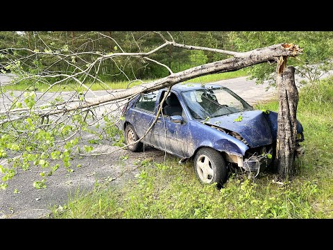 Видео: ФОРД ФИЕСТА VS ДЕРЕВО! ТАКОГО НИКТО НЕ ОЖИДАЛ! ЧТО С ВОДИТЕЛЕМ?