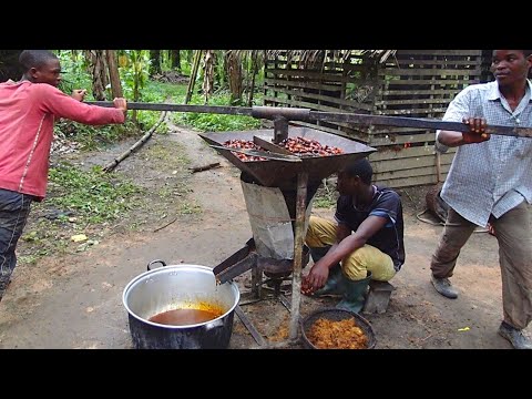 Видео: Пальмовое масло/Palm oil | Почему оно такое дешевое?