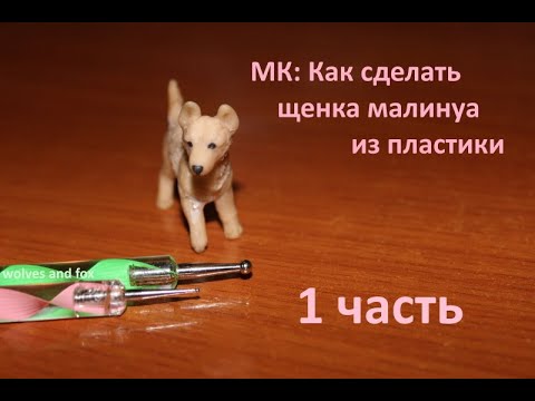 Видео: МК: Как сделать щенка малинуа из полимерной глины/пластики 1 ЧАСТЬ