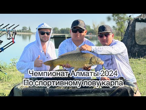 Видео: Чемпионат г. Алматы по спортивному лову карпа 2024