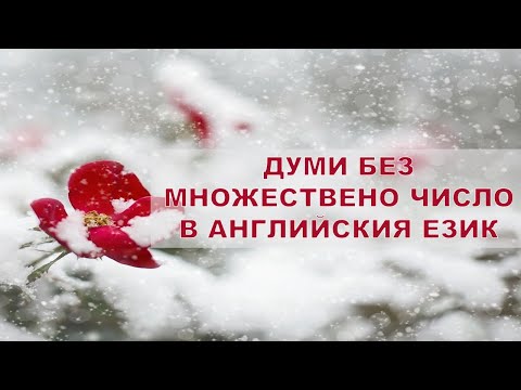 Видео: Уча английски: Думи без мн. число +FREE PDF