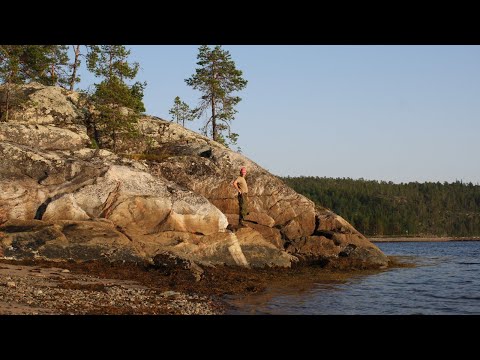 Видео: Путешествие интроверта  1 часть дорога на Кереть, острова Белого моря