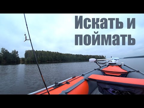 Видео: ЛОВЛЯ СУДАКА РАННЕЙ ОСЕНЬЮ!!! МНОГИЕ ЭТИ ПРИМАНКИ ДАЖЕ НЕ ДЕРЖАТ У СЕБЯ В АРСЕНАЛЕ!!!