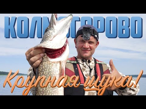 Видео: Колмогорово - щучий край. Енисейские хроники 2020