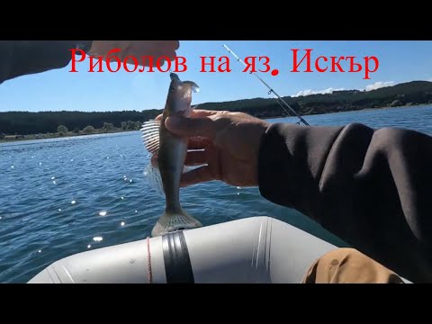 Видео: Риболов на язовир Искър от лодка