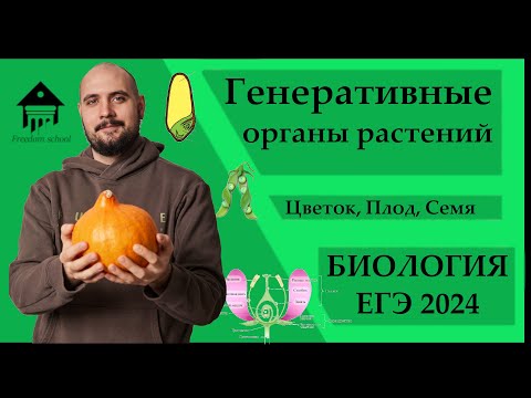 Видео: Генеративные органы и Жизненный цикл покрытосеменных ДЛЯ ЕГЭ 2024 |ЕГЭ БИОЛОГИЯ|Freedom|