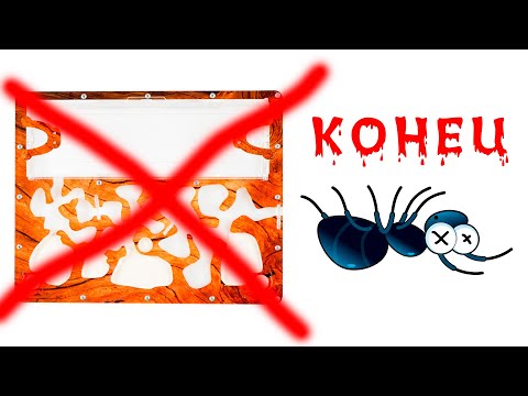 Видео: Муравьиная ферма КОНЕЦ