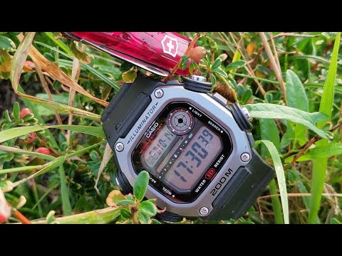 Видео: CASIO DW-291H-1AVEF почти G-SHOCK 👍😉