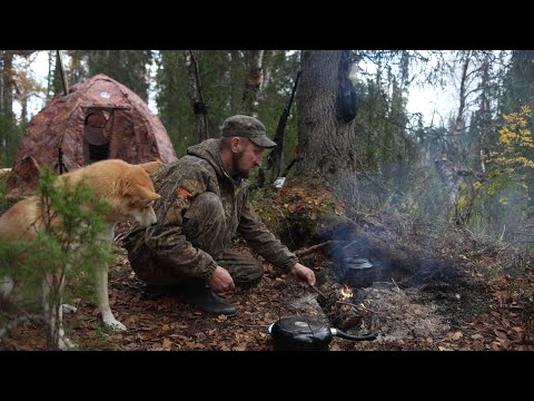 Видео: ЖИВУ НА ДИКОЙ ТАЁЖНОЙ РЕЧКЕ С СОБАКОЙ. ОСЕННЯЯ РЫБАЛКА НА СПИННИНГ.