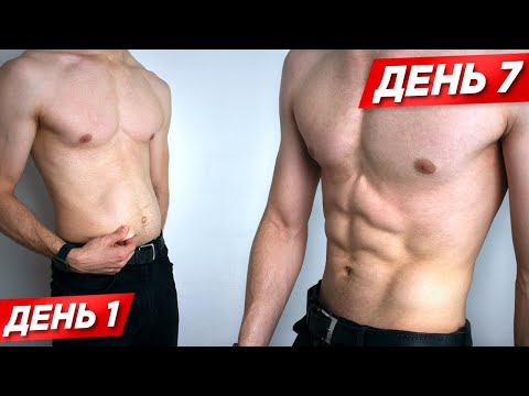 Видео: КАК НАКАЧАТЬ ПРЕСС ЗА 7 ДНЕЙ