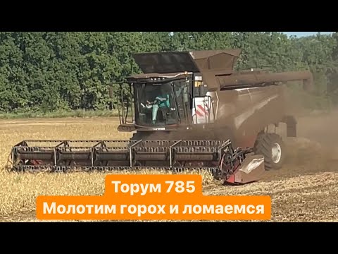 Видео: Поломки комбайна Торум. Уборка гороха. Решёта УВР.