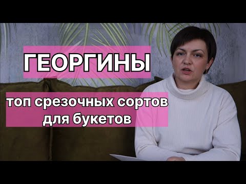 Видео: Георгины, стойкие популярные сорта для букетов.