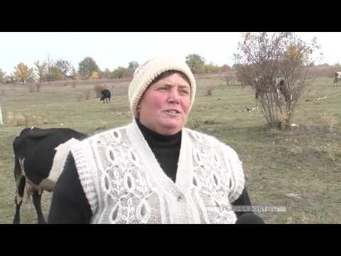 Видео: Возрождение села