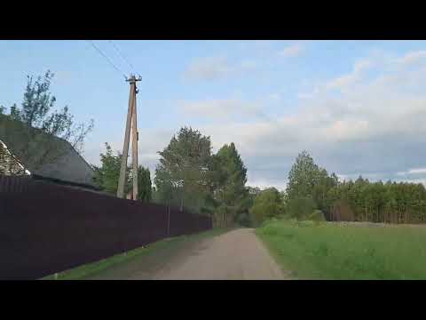 Видео: Дорога от Чернецово до Усть-Долыссы через  лес (13.06.2025г).