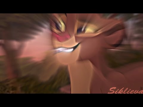 Видео: Кайон и Рани / Снег в океане (заказ : Трифон Бокий )