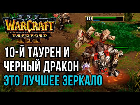 Видео: Таурен 10-го уровня и Черный Дракон: Starbuck (Orc) vs Abver (Orc) Warcraft 3 Reforged
