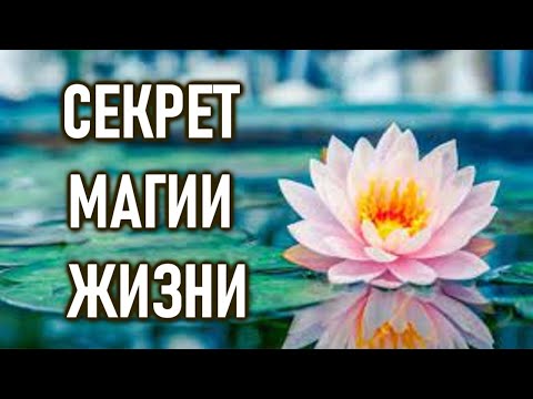 Видео: Секрет магии жизни | ОШО