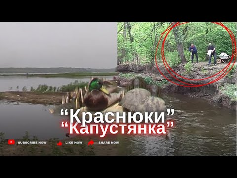 Видео: 24-25 апрель 24г. Запорожье ОДНА ТОННА пшеницы на корм рыбе Запорожье.