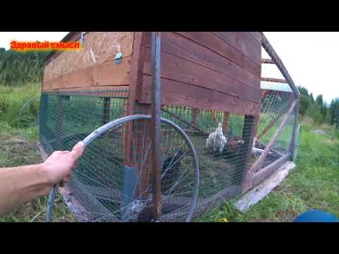 Видео: Куриный трактор. Завершение сезона. #птицеводство
