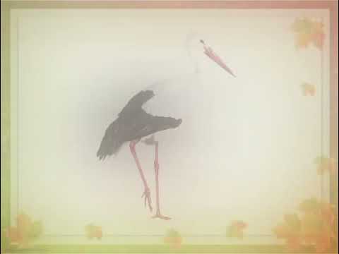 Видео: Предметний світ "Птахи восени"