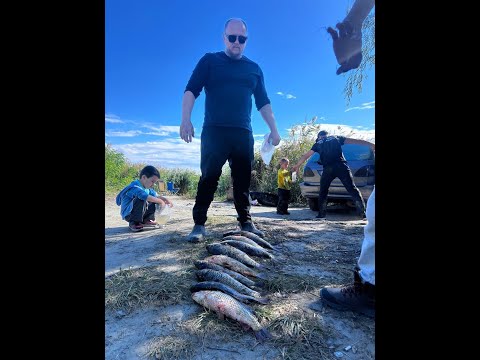 Видео: Влог Рыбалка 27.09.2025 на реке Калач