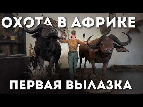 Видео: Охота в Африке: Первый выезд | Время охоты пришло