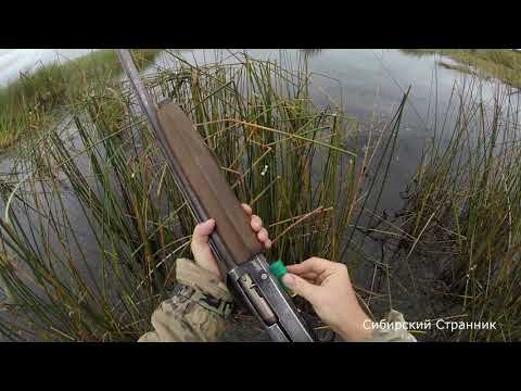 Видео: Удачная вечерка. Прямо за деревней.