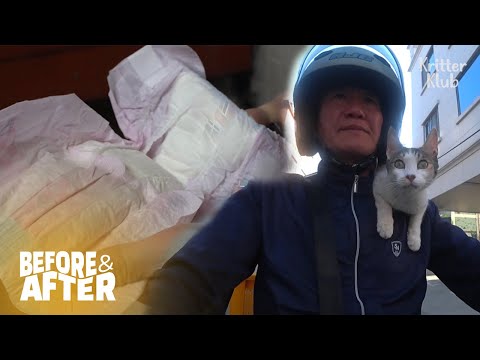 Видео: Распыление кошачьей мочи на лицо стража каждую ночь | До и после макияжа, серия 27