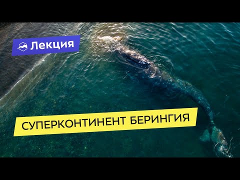 Видео: Суперконтинент Берингия: маршруты и особенности