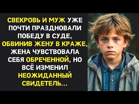 Видео: Свекровь и муж уже праздновали победу в суде обвинив жену в краже но тут в суд зашел свидетель..