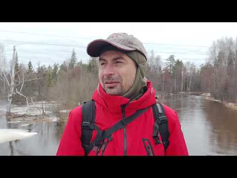 Видео: река Юшут - уровень воды на 6 апреля