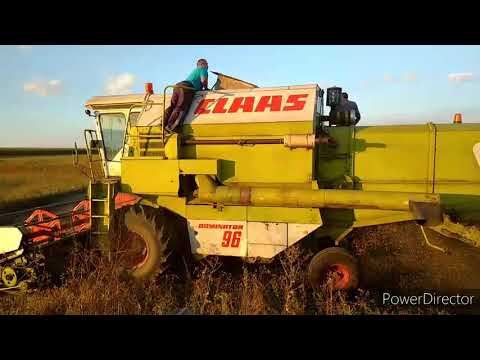 Видео: Сбираємо сою раню, урожайність 35 центнеріа