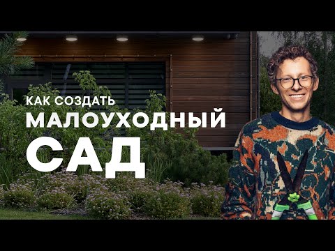 Видео: Как создать малоуходный сад | Советы Петра Лари