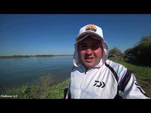 Видео: РЫБАЛКА НА РЕКЕ ИЛИ БАКБАКТЫ!!! ТОЛЯН В ДЕЛЕ!!!