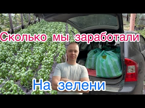 Видео: Сколько мы заработали денег сдав машину зелени