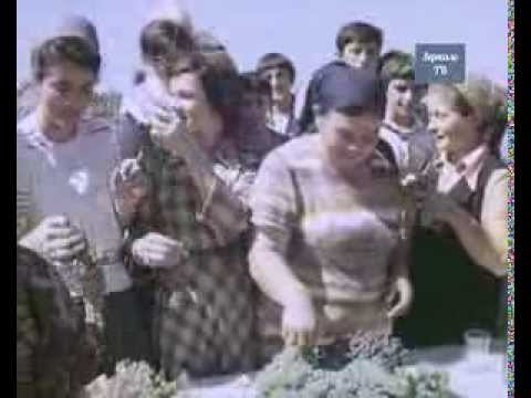 Видео: "Гроздь Винограда"  Фильм о лучшем виноградаре ЧИАССР - Марии Усмановой,