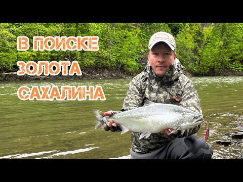 Видео: Вишневый лосось Сахалин 2025 #cherrysalmontour2025sakhalin #рыбалка #sakuramasu